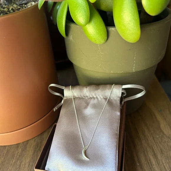 NIB Michelle Chang Jewelry Silver Moon Necklace - Picture 2 of 3